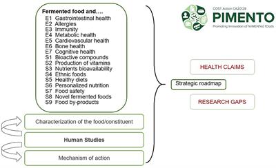 Health benefits and risks of fermented foods—the PIMENTO initiative